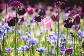 Square tulip by Ellinor Creation