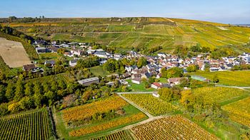 Chavignol, wijn en kaas