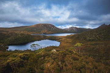 Cradle Mountain lakes by Ronne Vinkx
