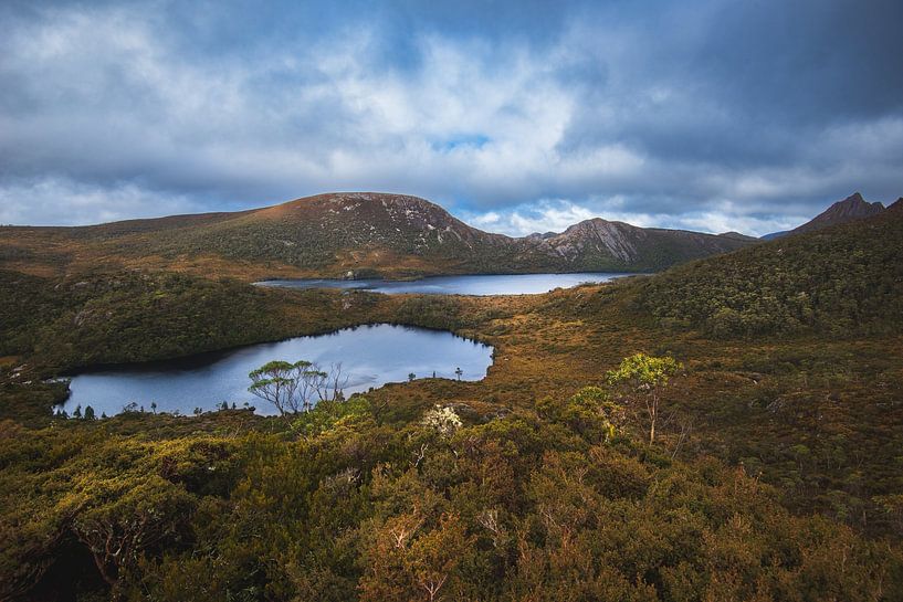 Cradle Mountain lakes by Ronne Vinkx