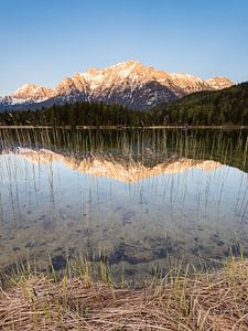 Alpenglühen am Lautersee