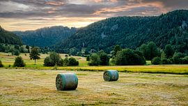 Hay bales at sunset in the Black Forest