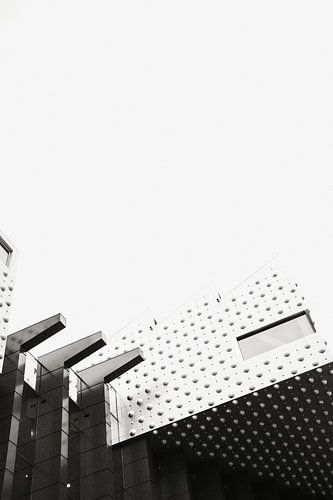 Amersfoort Eemhuis abstract in zwart-wit (Staand)