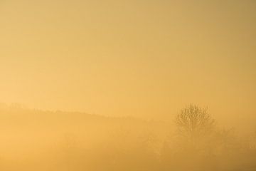 Golden Fog von Peter Proksch