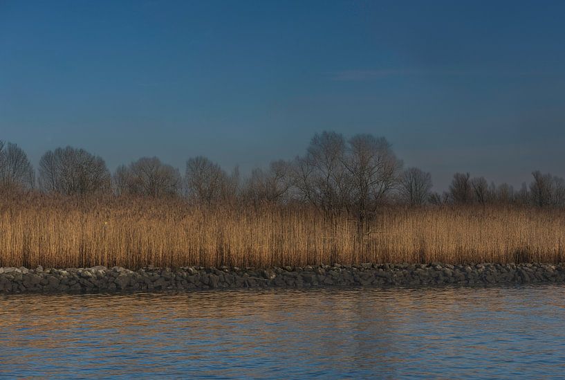 Reed Collar by Wim Mourits