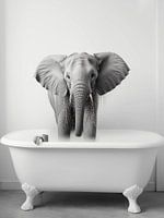 Elephant in a bathtub