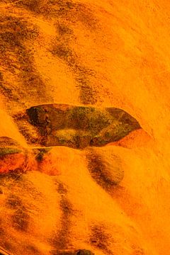 Een abstracte vogel op een grotwand. van kall3bu