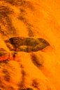 Een abstracte vogel op een grotwand. van kall3bu thumbnail