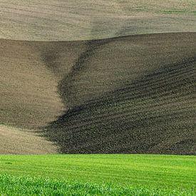 Landschaft Apulien, Italien von Mario Creanza