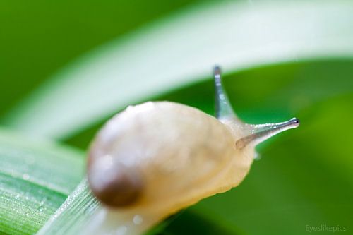 small and wonderfull