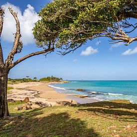Caribbean coast, landscape at Pointe Allègre, Sainte Rose Guadeloupe by Fotos by Jan Wehnert
