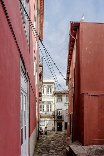 Porto VI