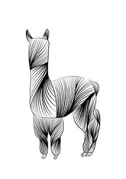 Poster alpaca - zwart wit - boerderij - kinderkamer van Studio Tosca