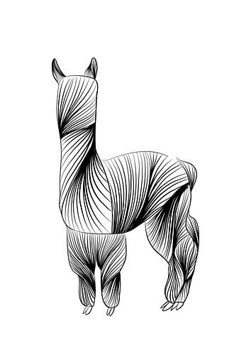 Poster alpaca - zwart wit - boerderij - kinderkamer