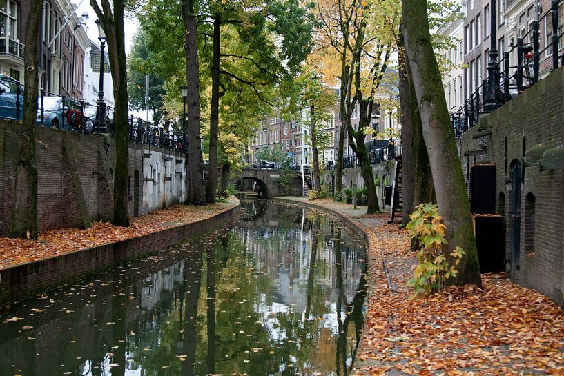 Utrechtse gracht in herfstkleuren van David Klumperman