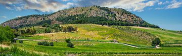 Panorama du paysage au Segesta, avec le temple grec