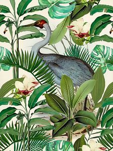 Heron In Tropical Vegetation van Andrea Haase