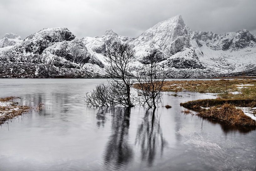Baumspiegelung im See vor einer winterlichen Bergkette von Ralf Lehmann