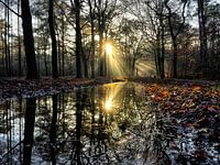 Prachtige reflectie van zonnestralen door een zonsondergang in de winter.