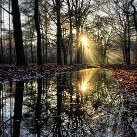 Prachtige reflectie van zonnestralen door een zonsondergang in de winter. van Mete Yildiz