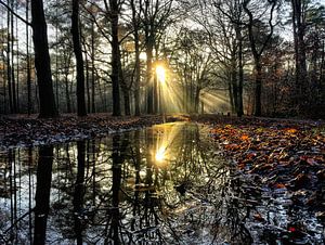 Prachtige reflectie van zonnestralen door een zonsondergang in de winter. by Mete Yildiz