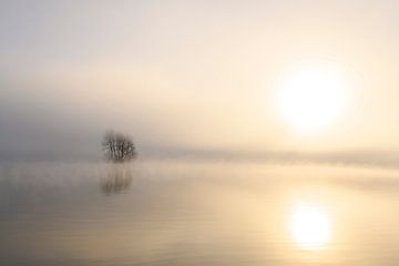 Mist rising up from the river IJssel during a cold winter morning by Sjoerd van der Wal Photography