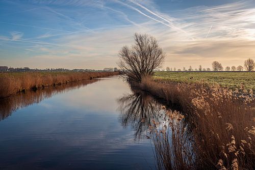 Koude ochtend in een Nederlandse polder