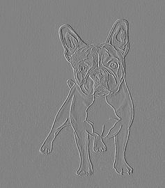 Bulldog (dessin) édité numériquement