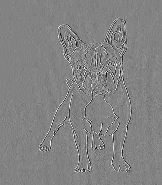 Bulldog (dessin) édité numériquement