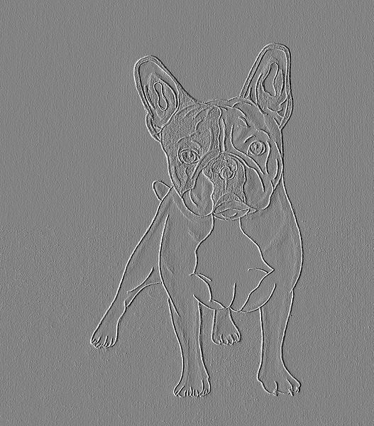 Bulldog ( drawing ) digitally edited by Jose Lok