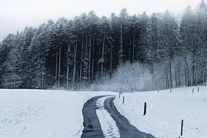 Voetafdrukken in een landelijk besneeuwd pad voor het bos van Besa Art