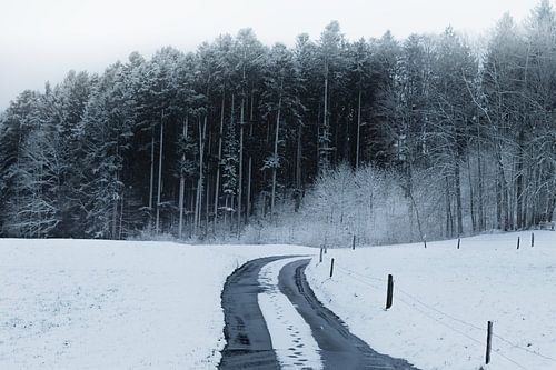 Voetafdrukken in een landelijk besneeuwd pad voor het bos