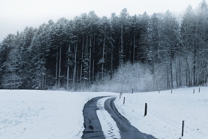 Fussabdrücke in einem ländlichen schneebedeckten Weg vor Wald von Besa Art