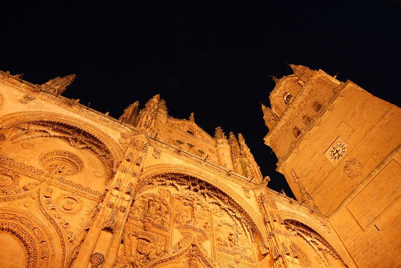 Oude en nieuwe kathedraal bij nacht, Salamanca, Castilla y León, Spanje van Torsten Krüger