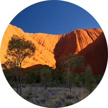 Uluru zonsopkomst III van Ronne Vinkx