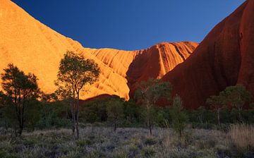 Sonnenaufgang am Uluru III von Ronne Vinkx
