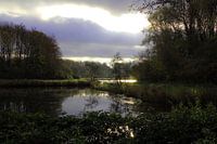 Natuurfoto