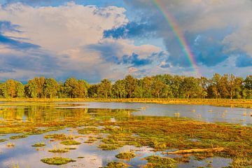 Regenboog in het Dwingelderveld van Henk Meijer Photography