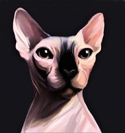 Pink Sphynx cat low key portrait by Maud De Vries