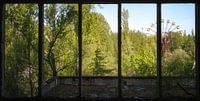 Reuzenrad in Tsjernobyl. van Roman Robroek - Foto's van Verlaten Gebouwen thumbnail