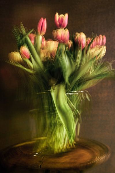 flowers part 367 by Tania Perneel