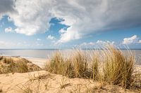 Way through the dunes at the Rote Kliff in Kampen, Sylt