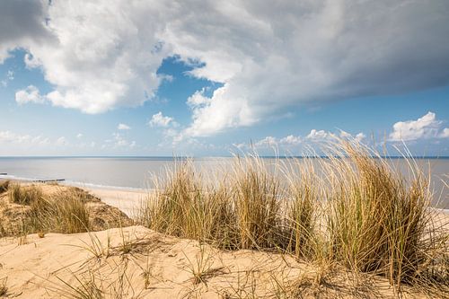 Weg door de duinen bij de Rote Kliff in Kampen, Sylt