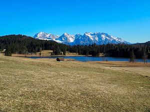 Frühlingszauber am Geroldsee – zarte Krokusblüten, ruhiges Wasser und beeindruckende Bergkulisse. Ein romantisches Alpenmotiv voller Farbe und Ruhe.