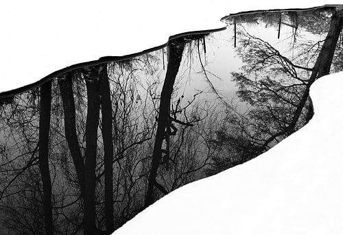 Riverside van Leif Westling