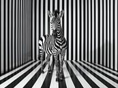Zebra in Zwart-Wit Illusie van Retrotimes thumbnail