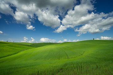 Sanfte grüne Hügel in der Toskana von Edwin Mooijaart