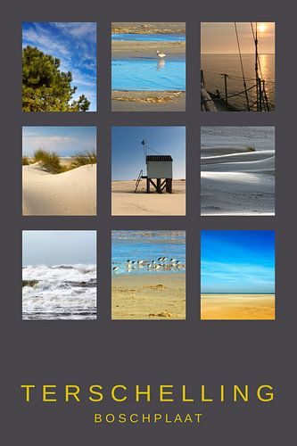 Terschelling Boschplaat sur Jan Brons