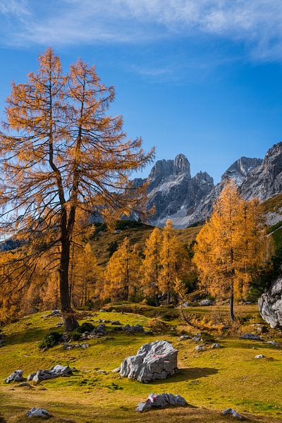 Mountain landscape "Autumn in the Austrian Alps II". by Coen Weesjes
