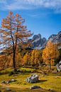 Mountain landscape "Autumn in the Austrian Alps II". by Coen Weesjes thumbnail